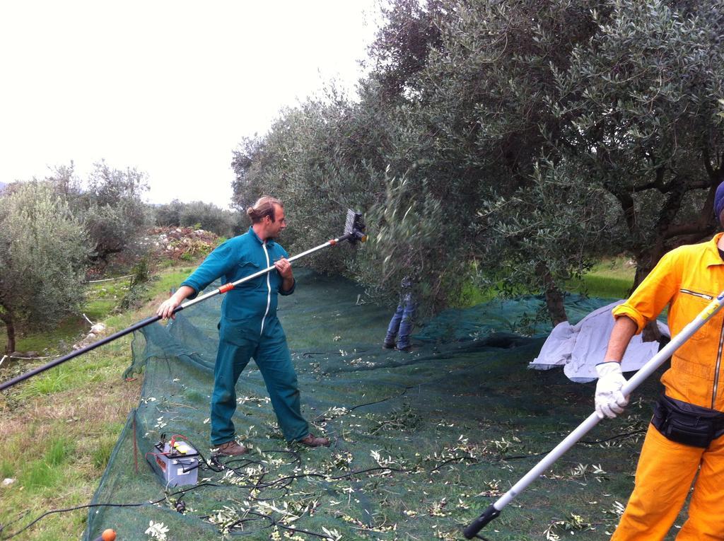 Agriturismo Casa Rosa เวโรนา ภายนอก รูปภาพ