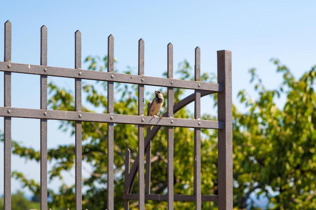 Agriturismo Casa Rosa เวโรนา ภายนอก รูปภาพ