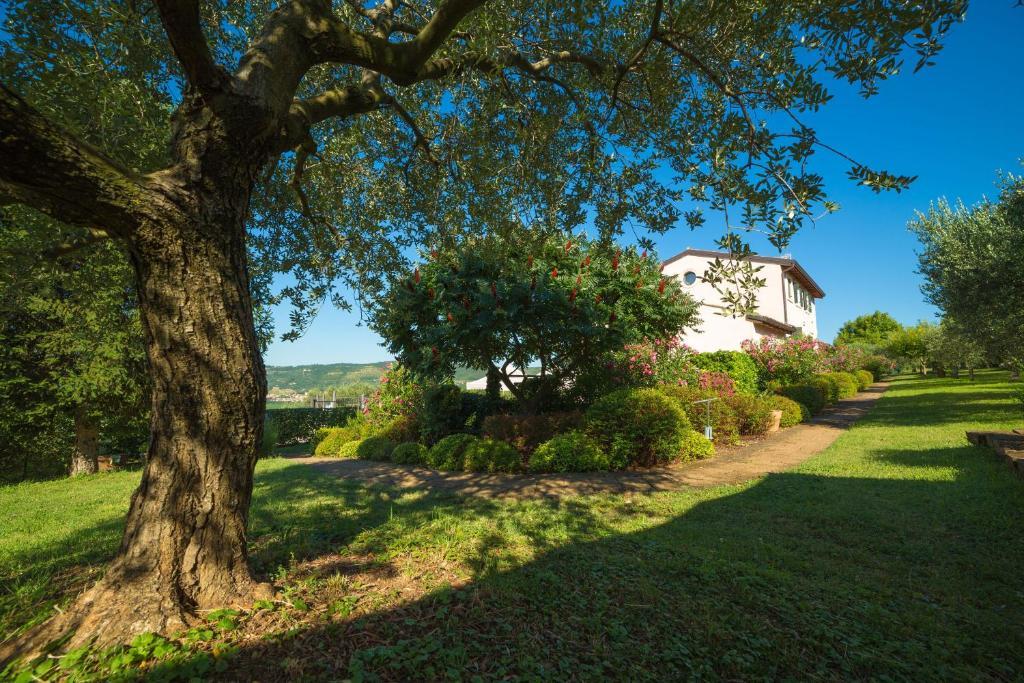 Agriturismo Casa Rosa เวโรนา ภายนอก รูปภาพ