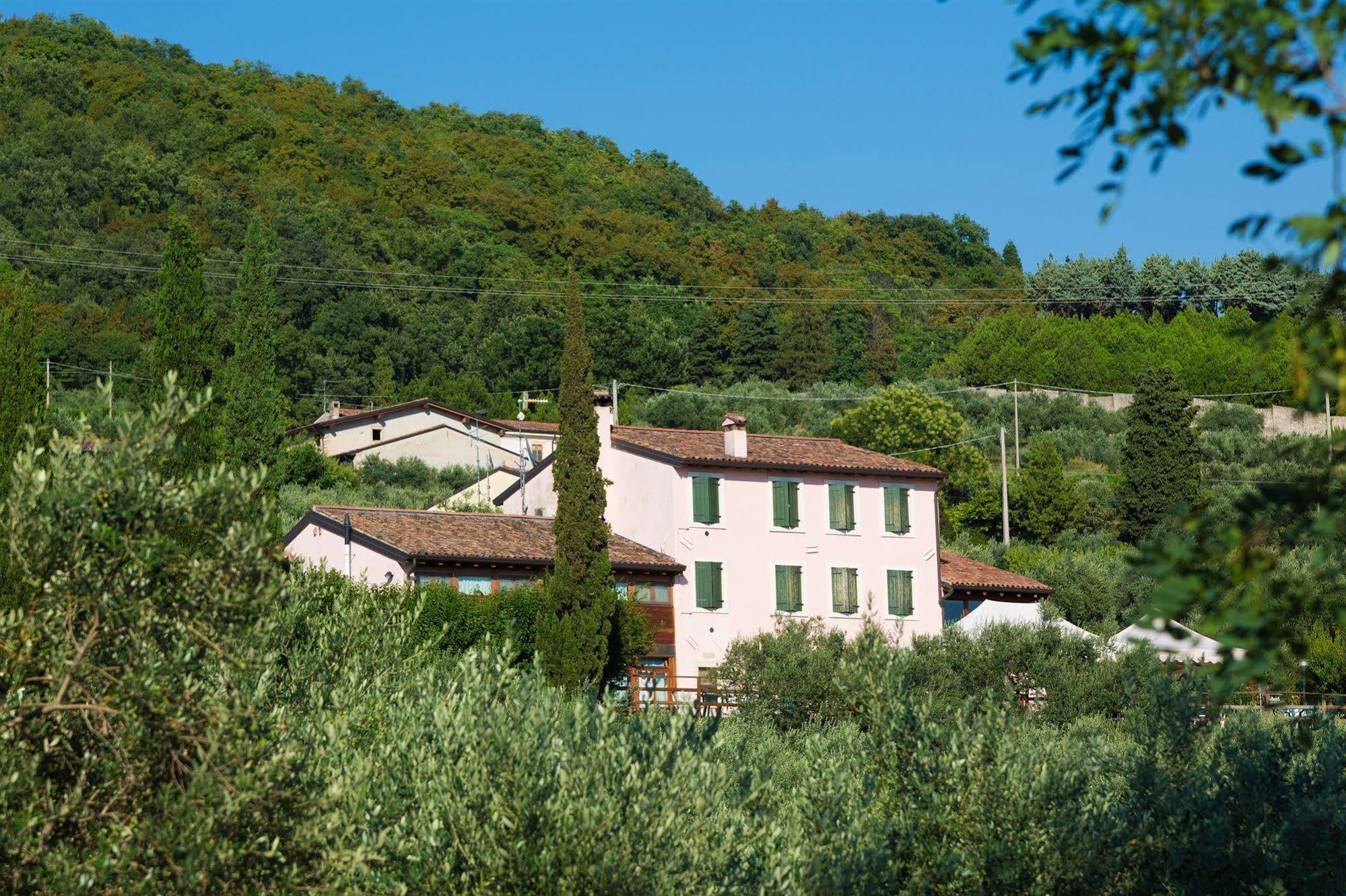 Agriturismo Casa Rosa Villa Novaglie ภายนอก รูปภาพ